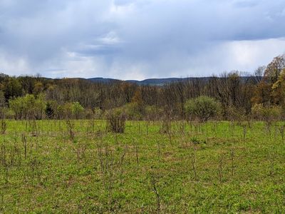 LOT 37.01 County Highway 4, Morris, NY, 13808