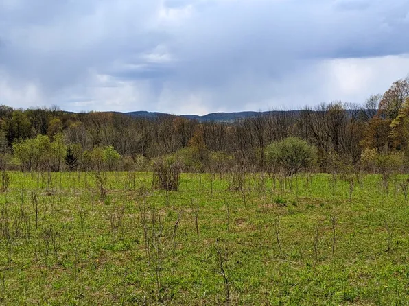 LOT 37.01 County Highway 4, Morris, NY 13808