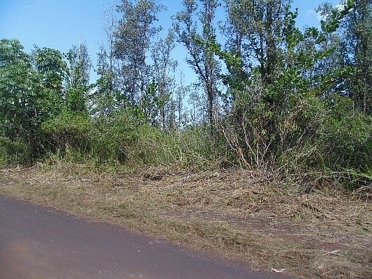 2nd image of 8th Ave Lot 2018