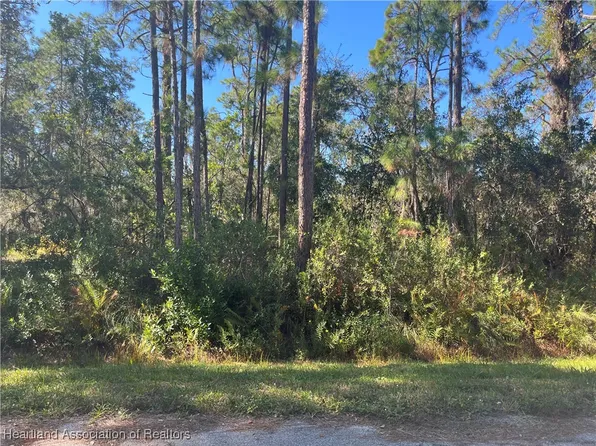 446 Leahy Ave, Lake Placid, FL 33852