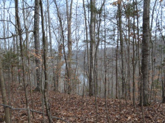5th image of 649AC Garrett Town Ln