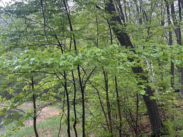 Powder Horn Dr, Cushing, MN 56443