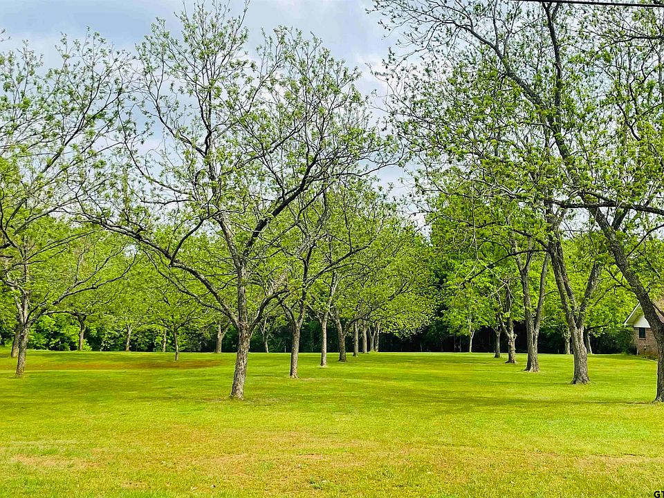 2nd image of LOT 1 Pecan St