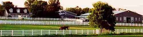 Home and barns side view