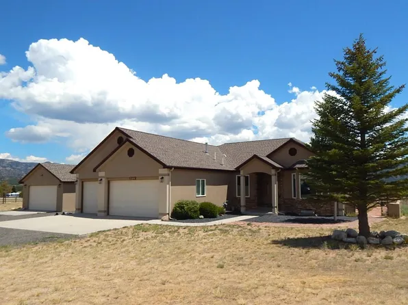 30841 County Road 356-04, Buena Vista, CO 81211