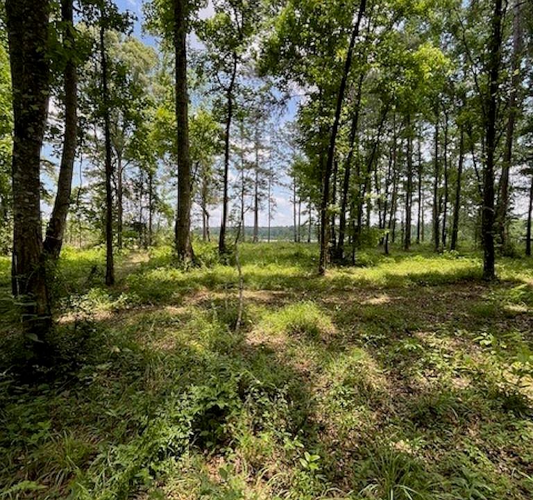 1st image of Jh Jenkins Ln
