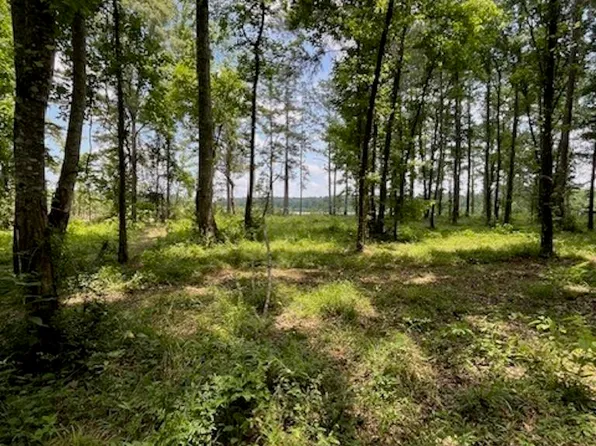Jh Jenkins Ln, Denham Springs, LA 70706