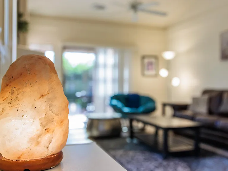 Dusty Rose Dr — Photo 22
