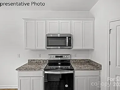 10003 Travis Floyd Ln — Photo 4