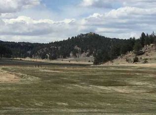 38368 County Road 77, Lake George, CO 80827