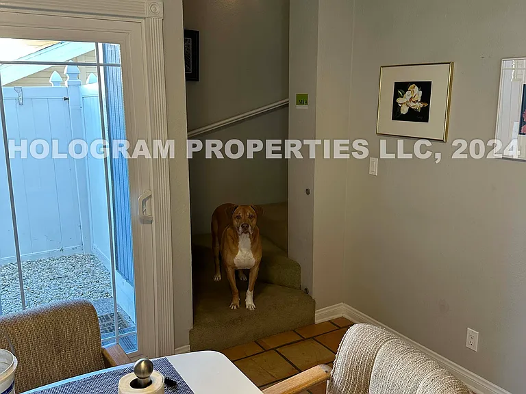 2325 Ganador Ct — Photo 22