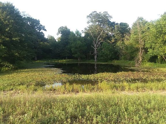 2nd image of 2218 County Road 3525