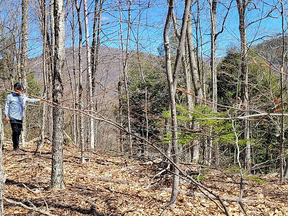 2nd image of 7 Spring Hill Road #7