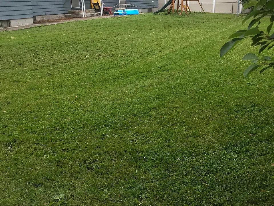 Large backyard partially fenced in.