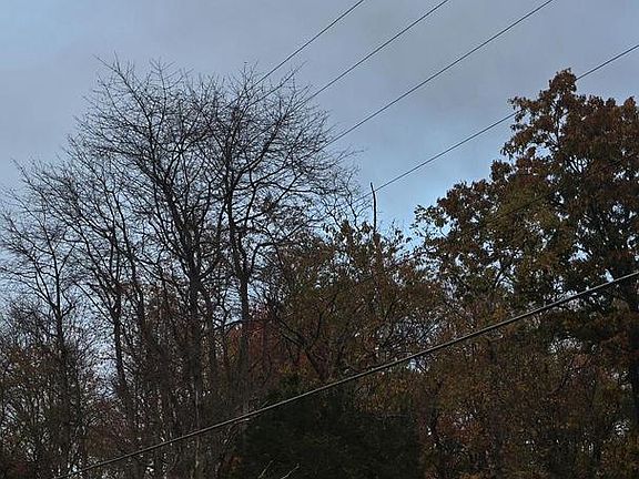 3rd image of 301 Meany Rd