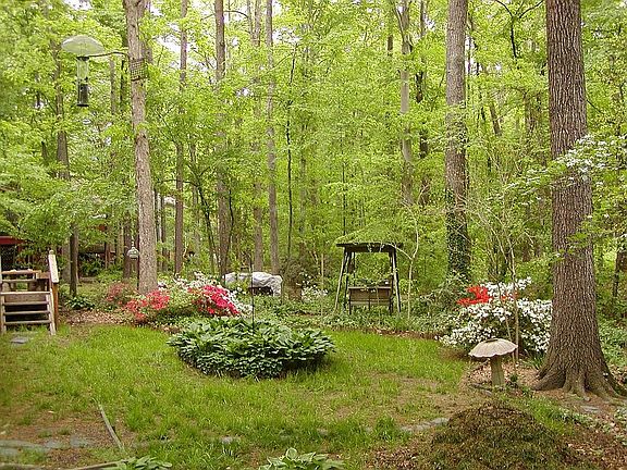 The Back Garden Spring 06