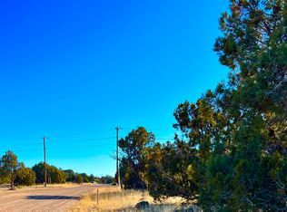 8789-8793 Bruce Cir, Show Low, AZ 85901