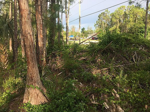 4th image of 10651 Strike Ln