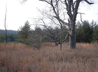 5500 N 19th Rd, Mesick, MI 49668