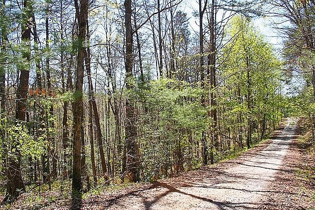 1st image of 0 Fireside River Trce W Lot A-7