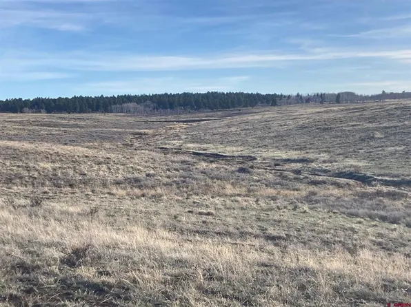 Lot 12 62X Road, Placerville, CO 81430
