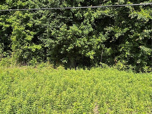 4th image of Lemon Springs Rd
