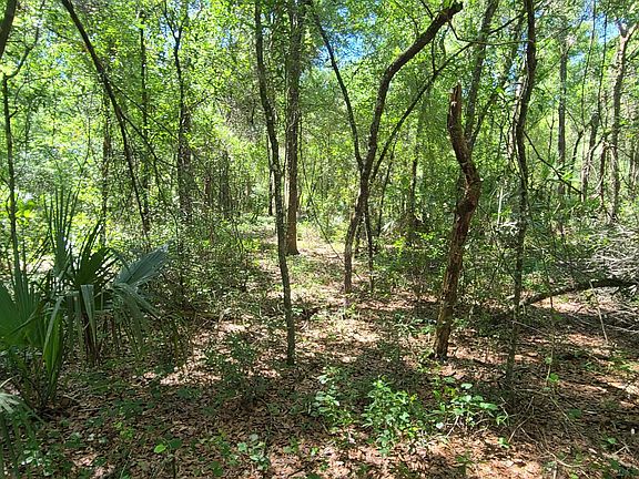 5th image of 0 N Woodland Blvd