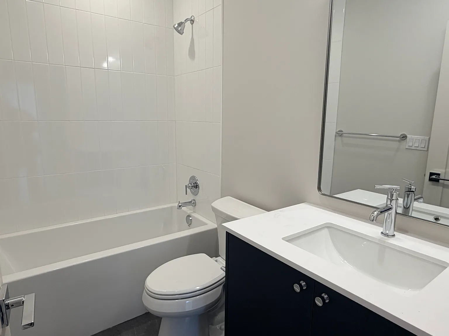 2 bed, 1250 sqft, $3,350 — Photo 3