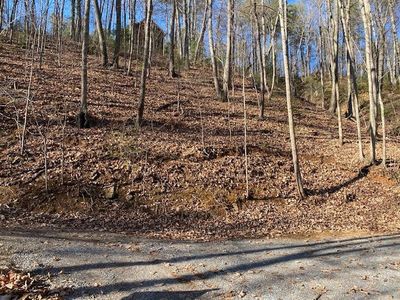 LOT 431 Lilly Ct, Sevierville, TN, 37876