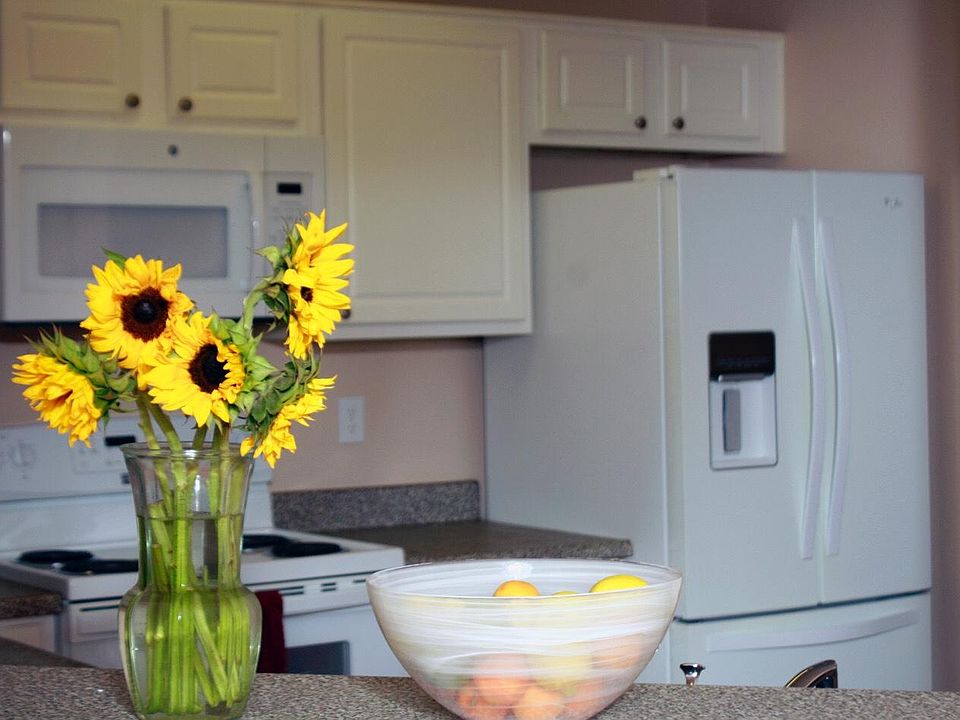 View of Kitchen from Dining Area / Living Room