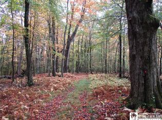 Salt Rising Rd, Bolivar, NY 14715