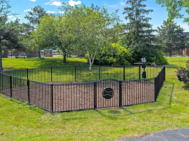 Take Your Dog to Our Bark Park