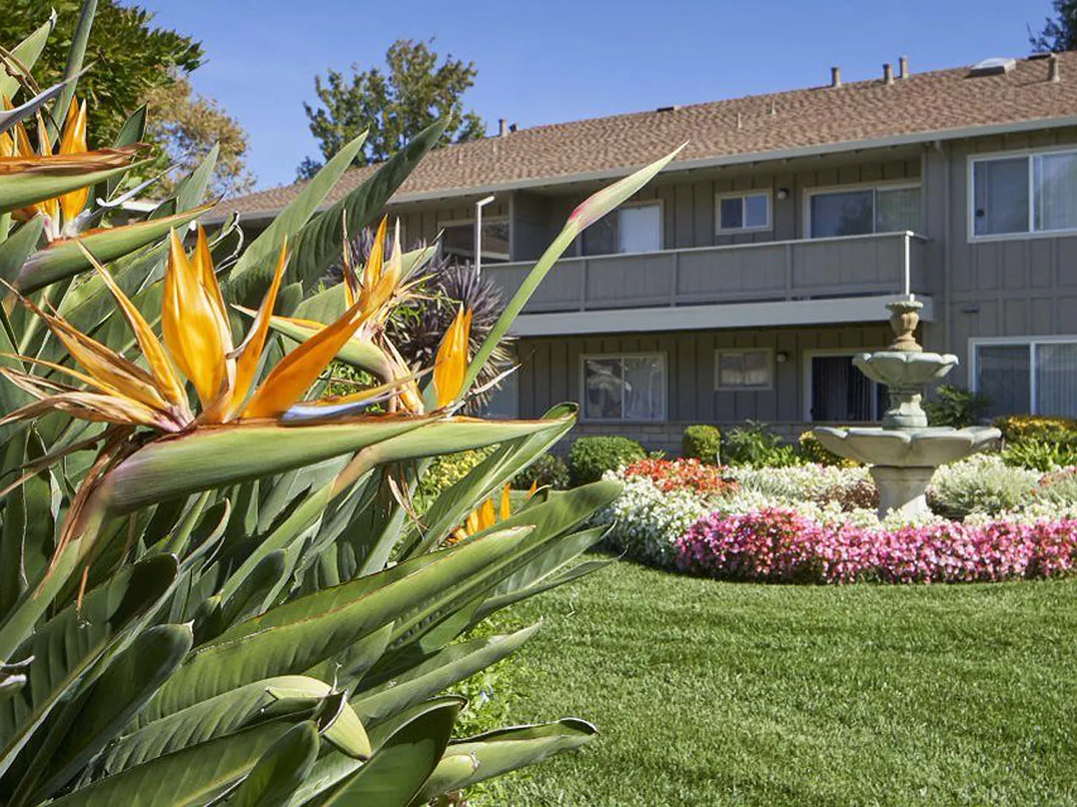 California Oaks Apartments — Photo 4