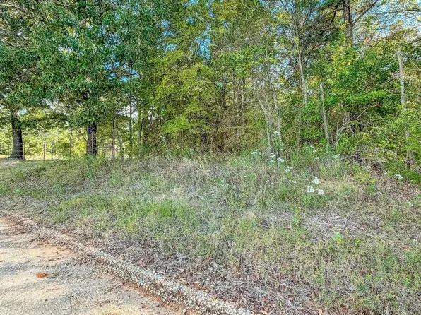 2 County Road 3424, Bullard, TX 75757