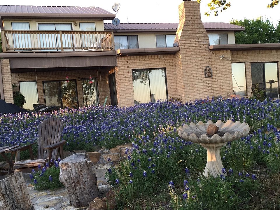 Bluebonnets in the Spring