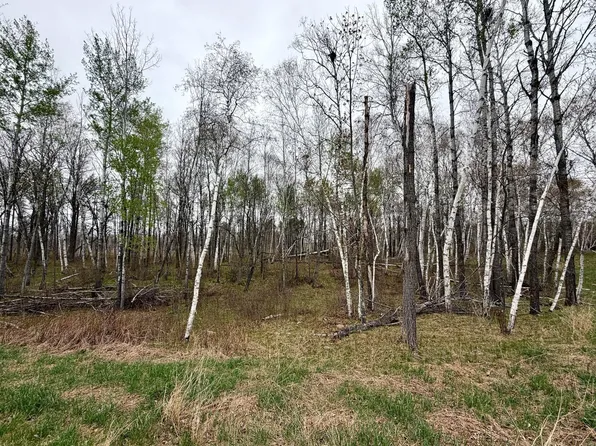 L17b1 Acorn Ridge Rd, Bemidji, MN 56601