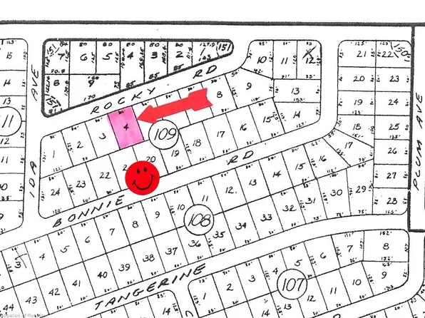 112 Rocky Rd NW, Lake Placid, FL 33852