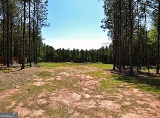 0 Phil Howe Rd, Manchester, GA 31816