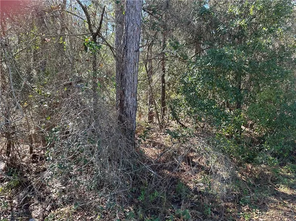 6202 N Mariner Ter, Citrus Springs, FL 34433