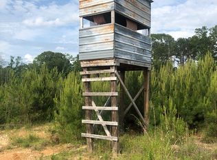 CO Rd 122 25 Ac., Lafayette, AL 36862