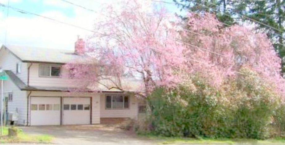Artist's Inspiration Enjoys Springs Blushing Pink Blossoms