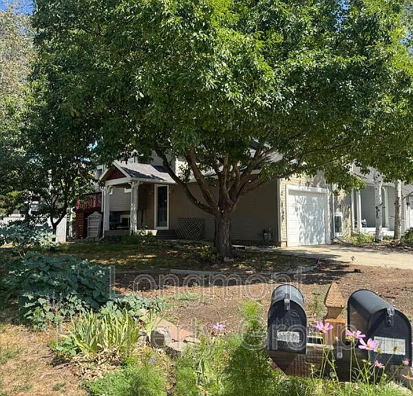 719 Thornwood Way — Photo 2