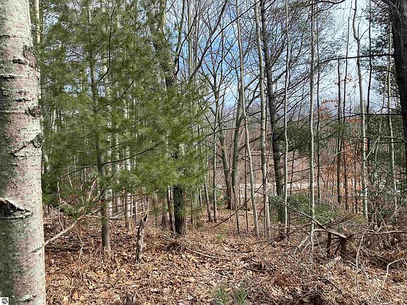 5th image of LOT 31 Scenic Hills Dr