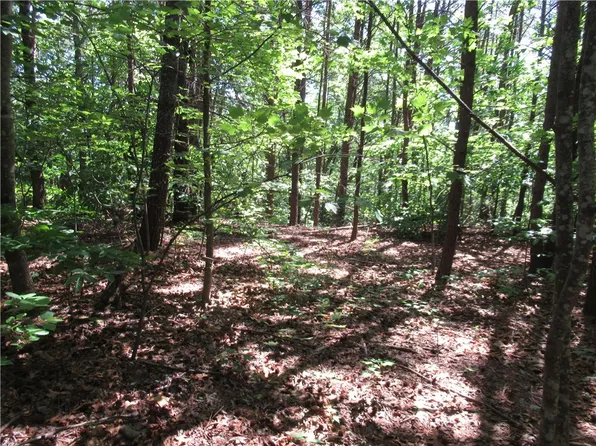 221 River Bluff Rd, Cleveland, SC 29635