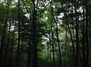 Craigtown Rd, Ellijay, GA 30540