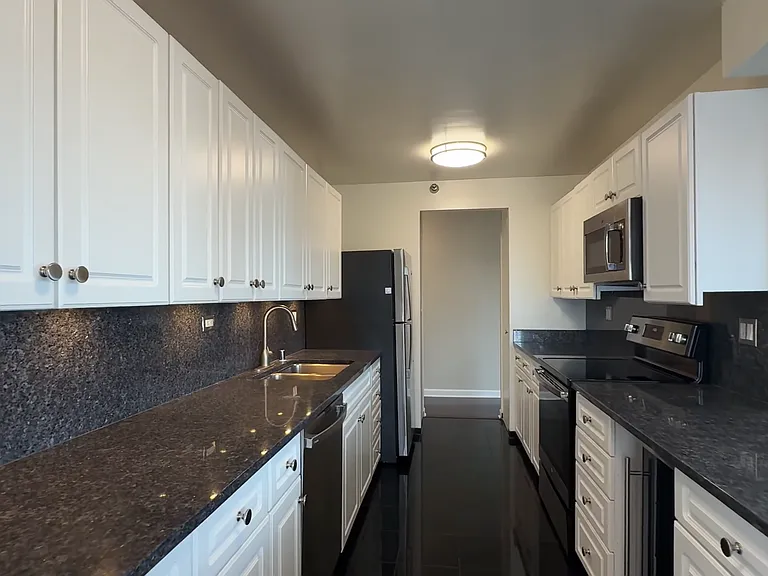 745 N Rush St #3203 — Photo 8
