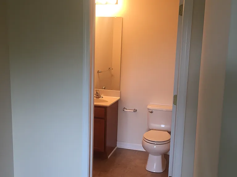 Owner's bathroom