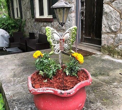 Lots of character and charm
