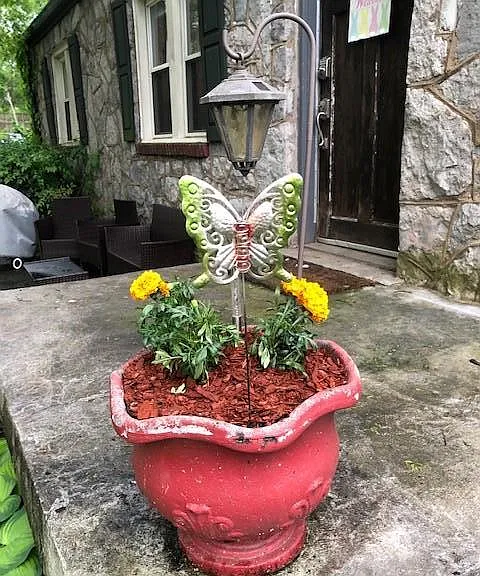 Lots of character and charm