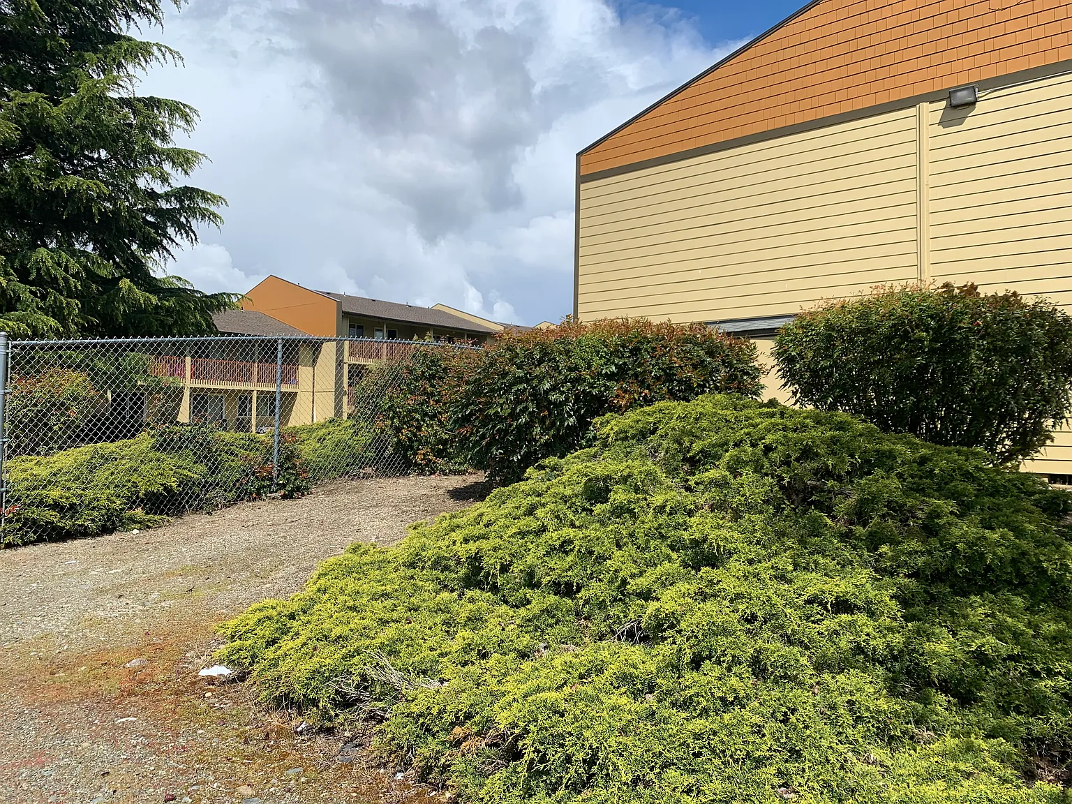 Laurel Court Apartments — Photo 4